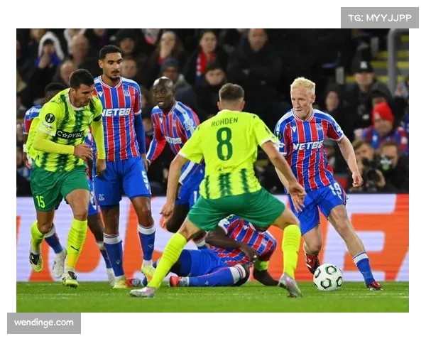 水晶宫平衡攻防体系 主场不败秘诀在于防守组织 水晶宫平衡攻防体系 主场不败秘诀在于防守组织