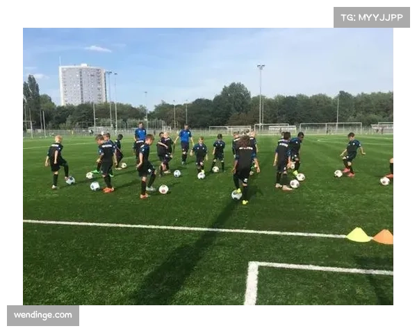 足球青训体系借鉴交流 各国根据特点发展模式 足球青训体系借鉴交流 各国根据特点发展模式